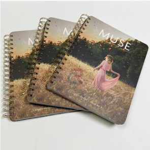 Razumevanje, kako nastanejo knjige